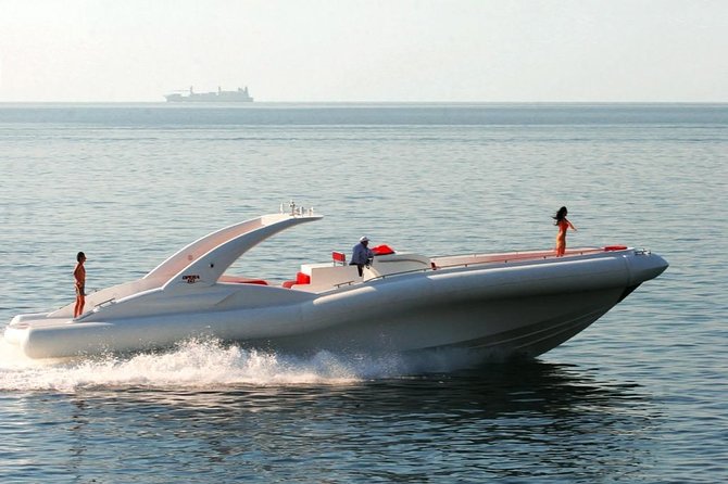 Luxury Opera 60 Whale & Dolphin Watching Experience - Whale and Dolphin Watching: Spotting by Sightlines, Not Guesswork