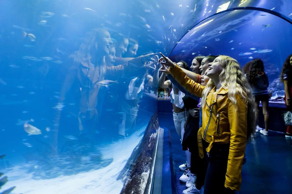 Madrid: Atlantis Aquarium Entry Ticket - Key Things I’d Focus On Before You Go