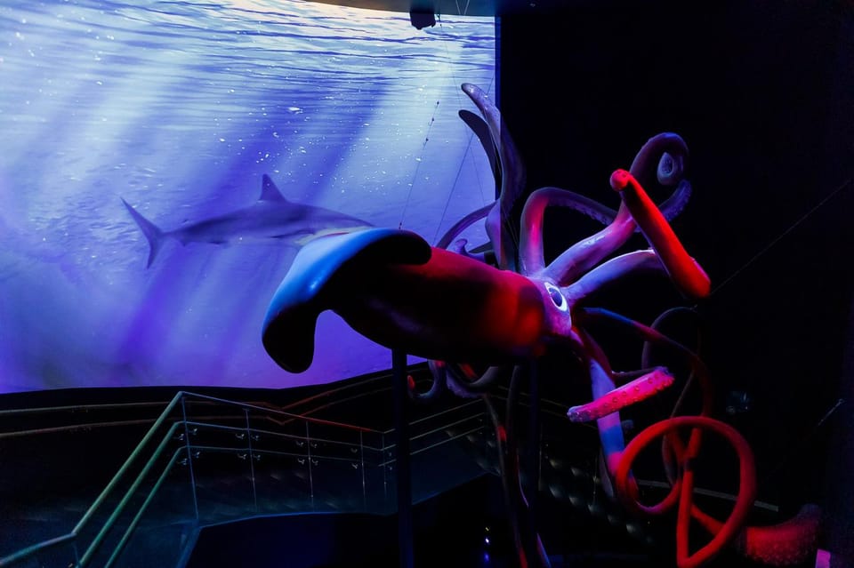 Madrid: Atlantis Aquarium Entry Ticket - The Aquarium Route: 20 Aquariums, About 10,000 Specimens