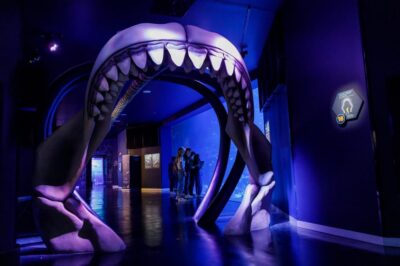 Madrid: Atlantis Aquarium Entry Ticket - Where You Go (and Why Xanadú Is a Good Launch Point)