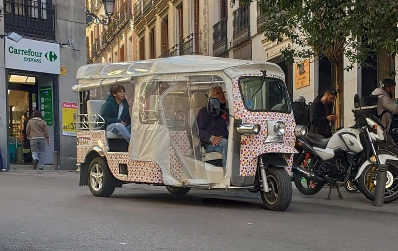 Madrid: City Tours - 6 seats private ecological tuk tuk - Retiro Park to Alcala Gate: big-city scale, but still manageable