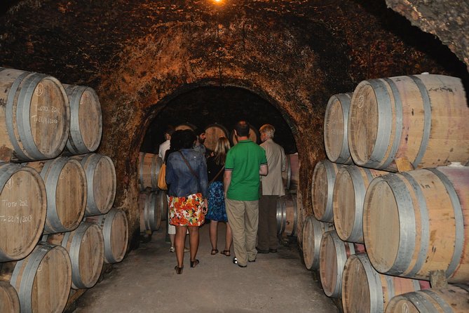 Madrid Countryside Wineries Guided Tour with Wine Tasting - What You Taste: Tempranillo Reds, Malvar Whites, and How Guides Make It Click