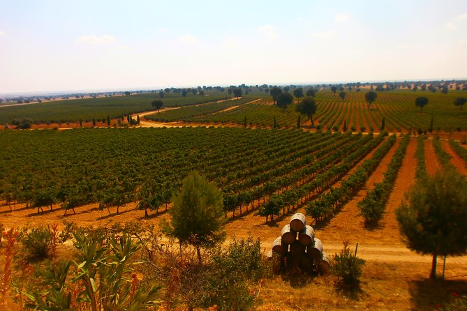 Madrid Countryside Wineries Guided Tour with Wine Tasting - Snacks, Lunch-Style Stops, and Pairing That Doesn’t Feel Random