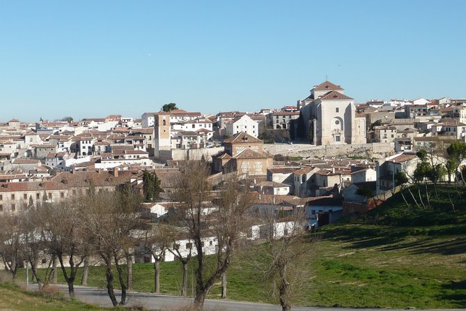Madrid Countryside Wineries Guided Tour with Wine Tasting - Price and What $175 Gets You (and What It Doesn’t)