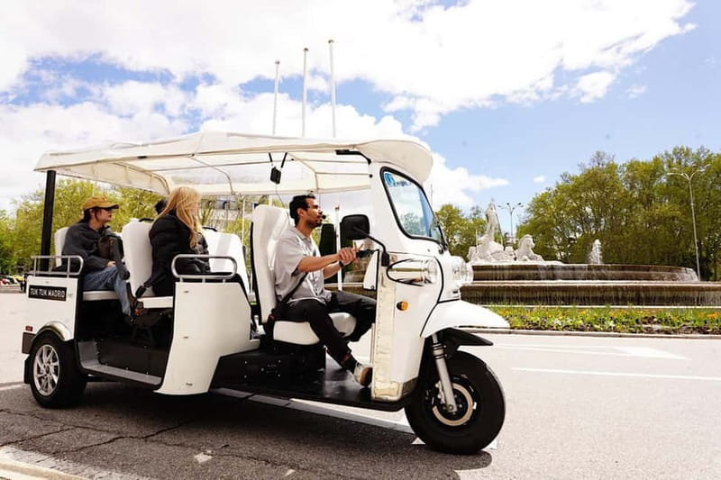 Madrid: Discover the City by Private Electric Tuk Tuk - Puerta de Alcalá, Retiro Park, and the Bank of Spain finish feel