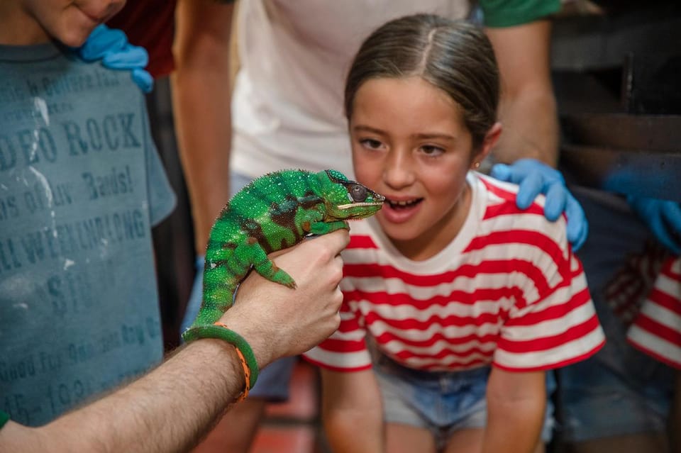 Madrid: Faunia Entry Ticket - The themed areas you’ll talk about later: nocturnal, caves, Australia, and mangroves