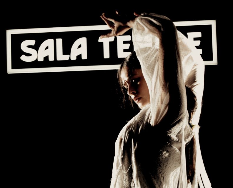 Madrid: Flamenco Show at Tablao Sala Temple with Drink - Why the small room matters: darkness, first rows, and goosebump seats
