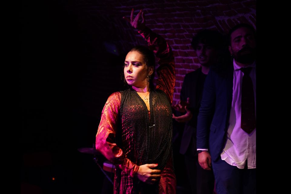 Madrid: Flamenco Show Entry Ticket with Drink & Artist Talk - Inside the 1850s Cave: What Makes This Flamenco Set-Up Work