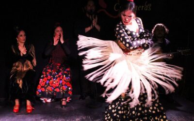 Madrid: Flamenco Show with Tapas and Wine Tour - Three tapas stops: what you’ll eat and why it fits together