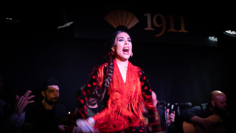 Madrid: Flamenco Show&Drink at Tablao 1911 (World's Oldest) - What You’ll See: Dancers, Singers, Guitar, and the Core Styles