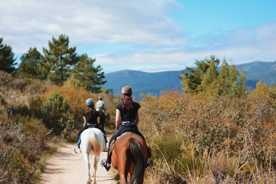 Madrid: Horse Riding in Sierra del Guadarrama National Park - How This Works: Pickup at C. de las Pozas, Then Straight to the Mountains