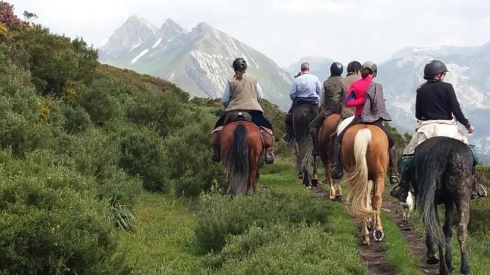 Madrid: Horse Riding in Sierra del Guadarrama National Park - The Guide Dynamic: Safety First, With a Personality