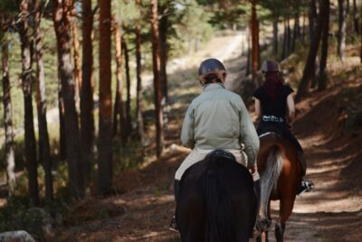 Madrid: Horse Riding in Sierra del Guadarrama National Park - The 2-Hour Trail Ride in Sierra del Guadarrama: What You’ll Notice Most