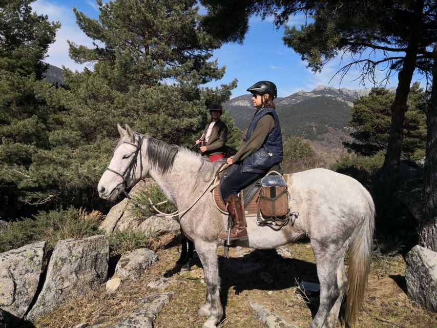 Madrid: Horse Riding in Sierra del Guadarrama National Park - What Happens After the Ride: Where You Can Catch Your Breath