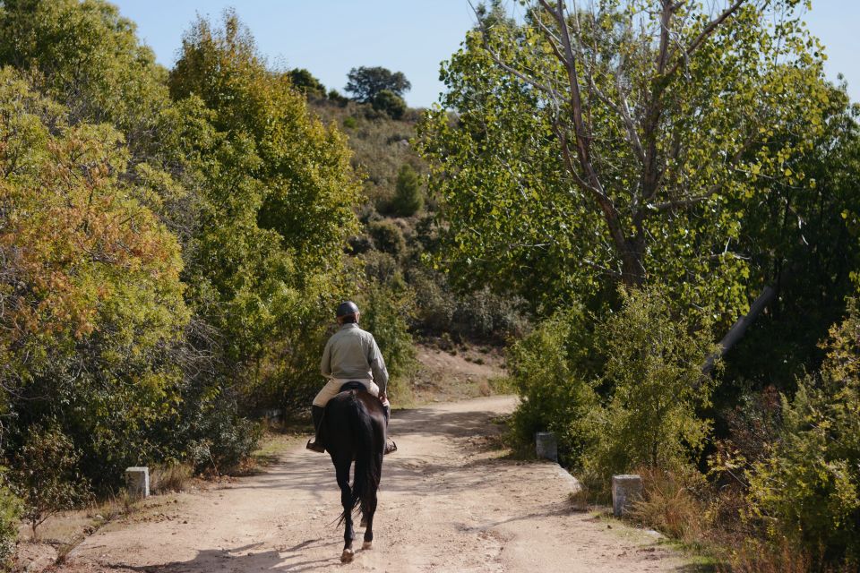 Madrid: Horse Riding in Sierra del Guadarrama National Park - Should You Book Madrid Horse Riding in Sierra del Guadarrama?