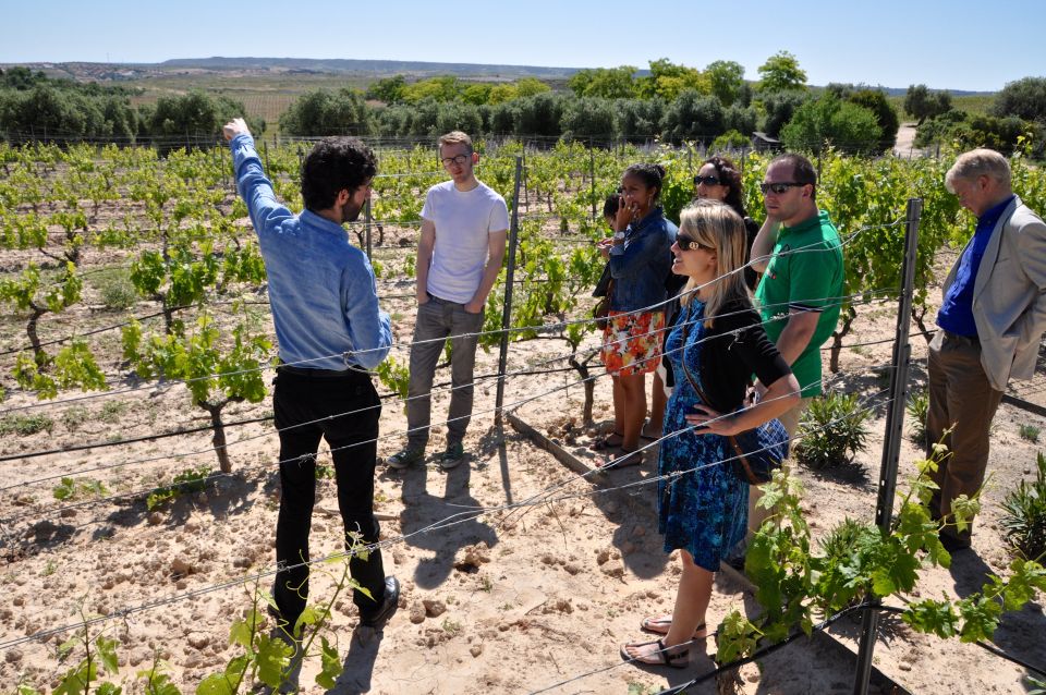 Madrid Region Wineries Guided Tour with Wine Tastings - Key highlights at a glance