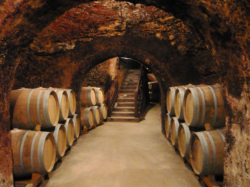 Madrid Region Wineries Guided Tour with Wine Tastings - Getting out of Madrid fast, with enough time to feel the countryside