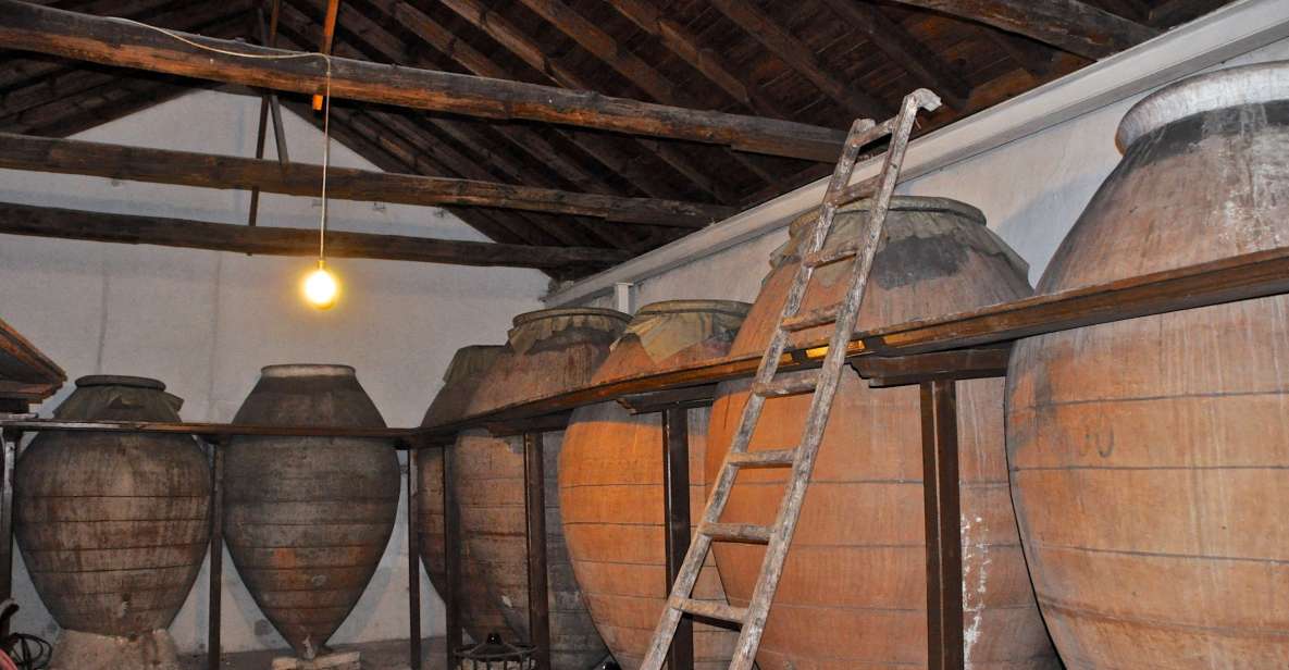 Madrid Region Wineries Guided Tour with Wine Tastings - Colmenar de Oreja: two wineries, plus caves where wine ages