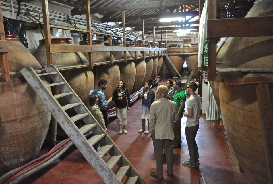 Madrid Region Wineries Guided Tour with Wine Tastings - Price and value: is $171 a good deal?