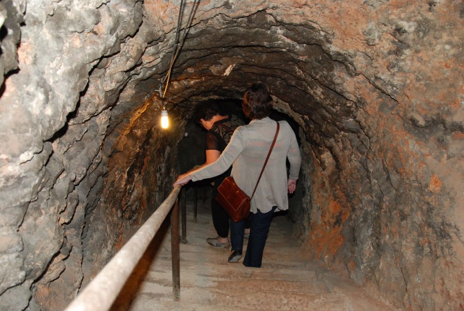 Madrid Region Wineries Guided Tour with Wine Tastings - Should you book this tour?