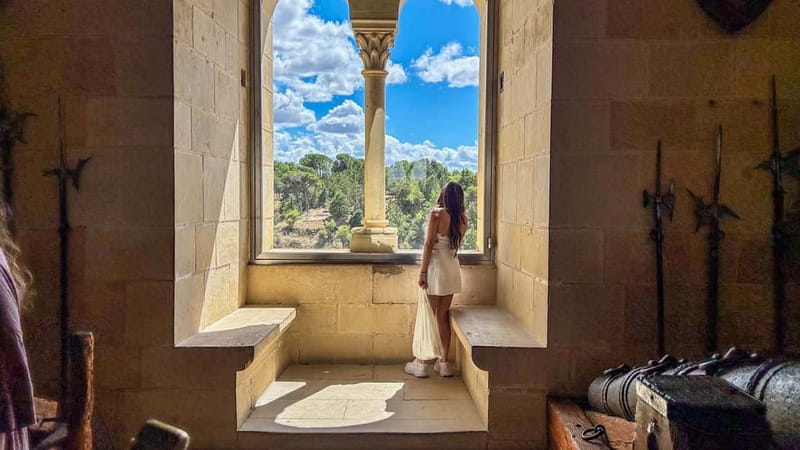 Madrid: Segovia & Ávila Full Day with Alcázar & Wall Tickets - Segovia guided walk: set the stage before you hit the big icons