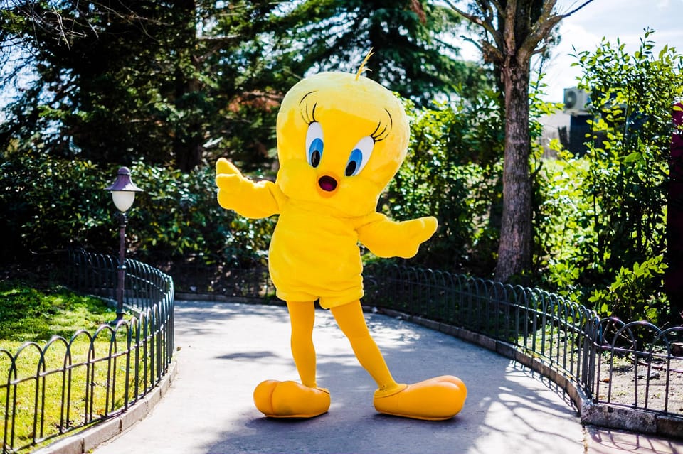 Madrid: Warner Park Entry Ticket - Key Points Worth Knowing Before You Go