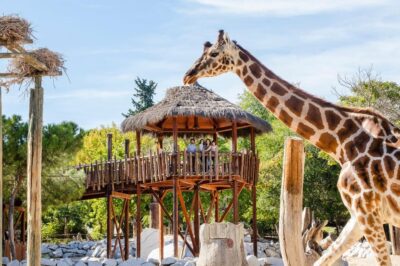 Madrid: Zoo Aquarium Madrid Ticket - What You’ll See: 3,000 Animals and 500 Species