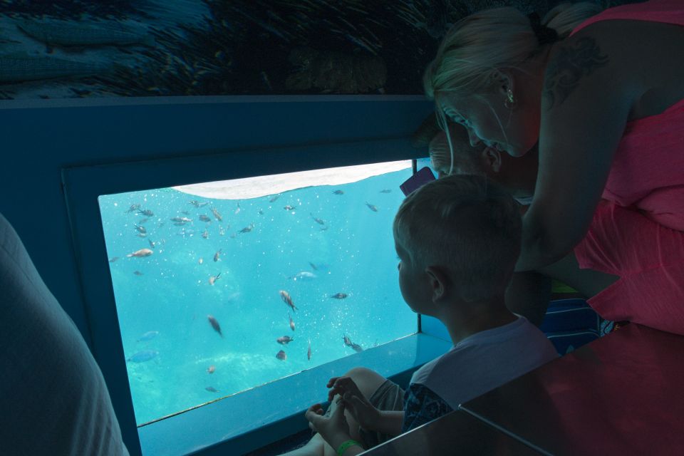 Mahon: Harbor Boat Tour with Underwater Viewing & Commentary - Who This Tour Fits Best (and Who Might Feel Frustrated)
