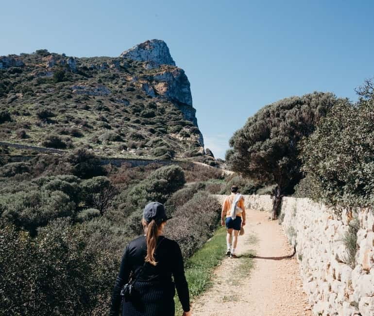 Majorca: Visit the Natural Park of Dragonera Island by boat - Getting there: the ferry hop that sets the tone