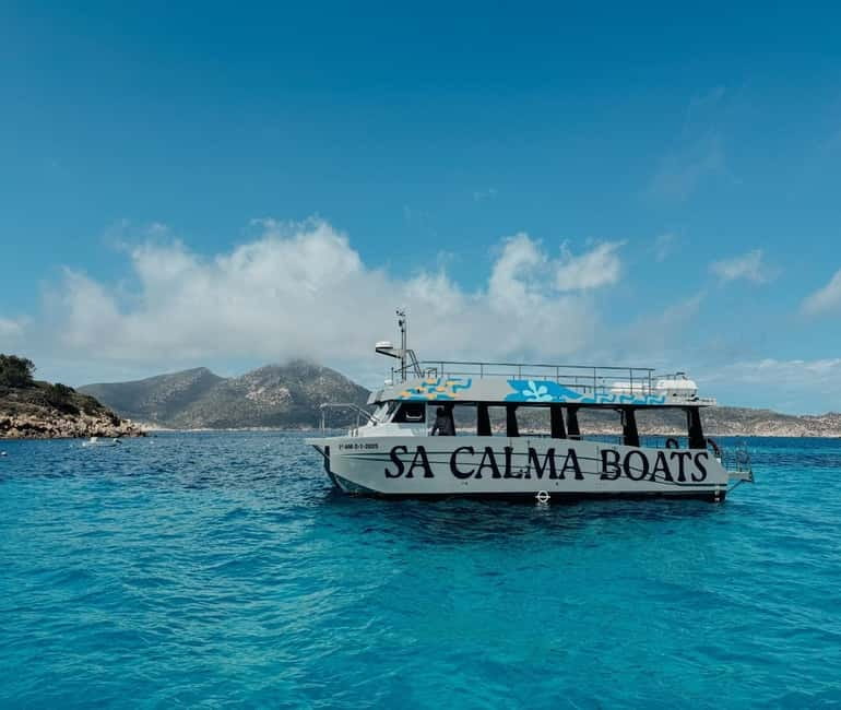Majorca: Visit the Natural Park of Dragonera Island by boat - Picking your trail: easy choices and the “we may not get to the top” reality