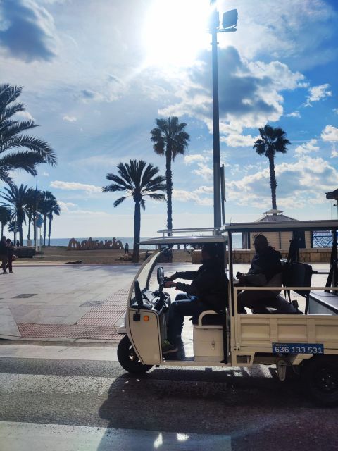 Málaga 1-hour by TukTuki: Essential and Private Tour - Larios Street, Market Areas, and Local-Feeling Stops