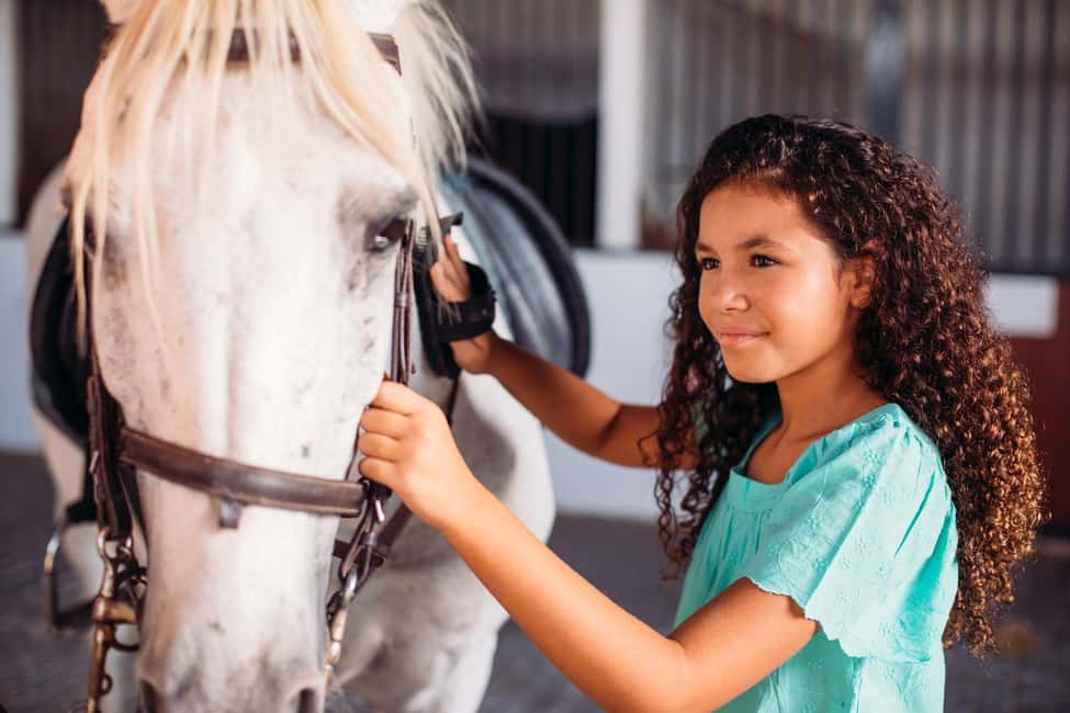 Malaga – 1-hour Horseback Riding Tour with a Local Guide through the Guadalhorce Valley - Getting to El Roble Equestrian Club at the End of a Dirt Road