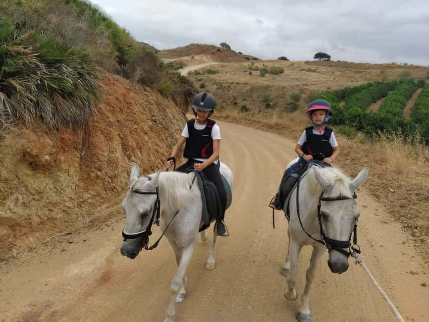 Malaga – 1-hour Horseback Riding Tour with a Local Guide through the Guadalhorce Valley - What the 1-Hour Experience Actually Feels Like (45 Minutes Riding)