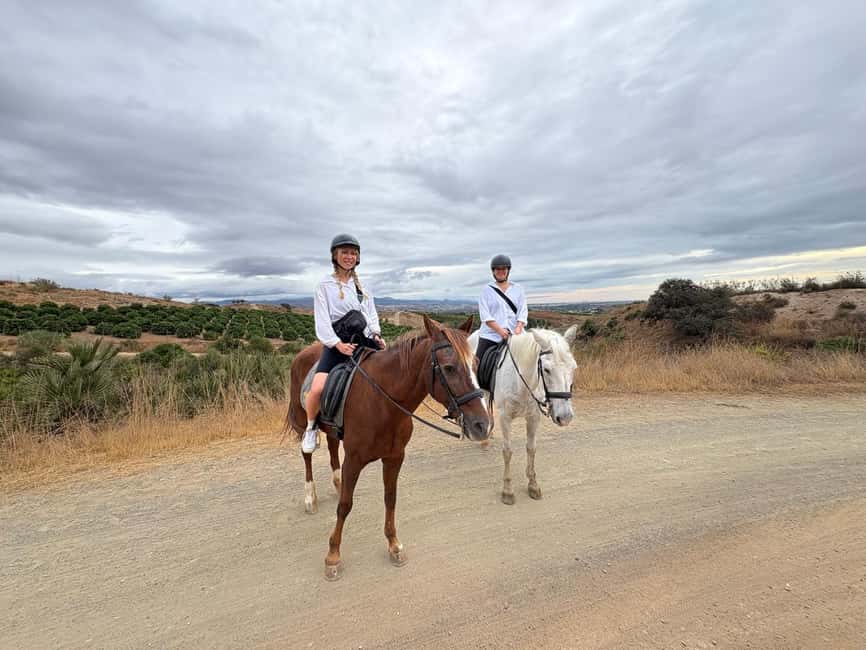 Malaga – 1-hour Horseback Riding Tour with a Local Guide through the Guadalhorce Valley - Small Group Energy: Up to 5 People, Multiple Languages