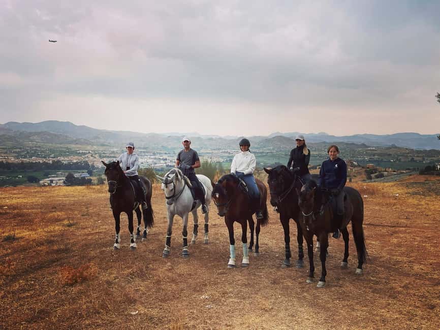 Malaga – 1-hour Horseback Riding Tour with a Local Guide through the Guadalhorce Valley - Photos, Orange Juice, and the End-of-Ride Touches