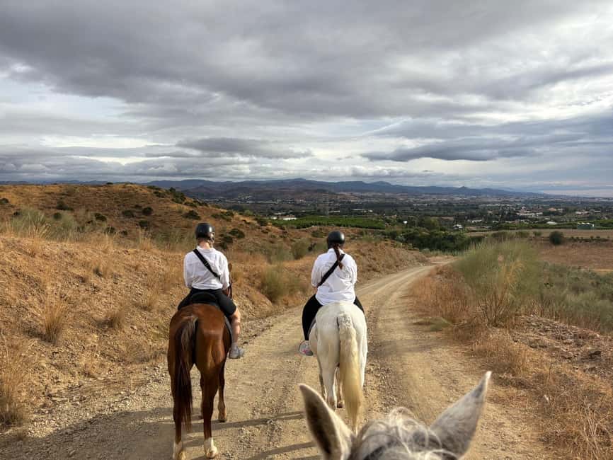 Malaga – 1-hour Horseback Riding Tour with a Local Guide through the Guadalhorce Valley - Who This Tour Suits Best (and Who Should Skip It)
