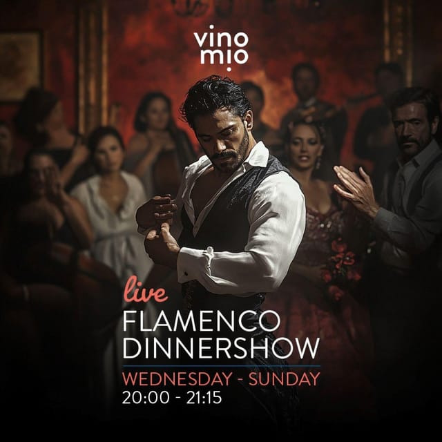 Malaga: Authentic Flamenco Dinner Show at Restaurant VinoMio - Quick hits before you book