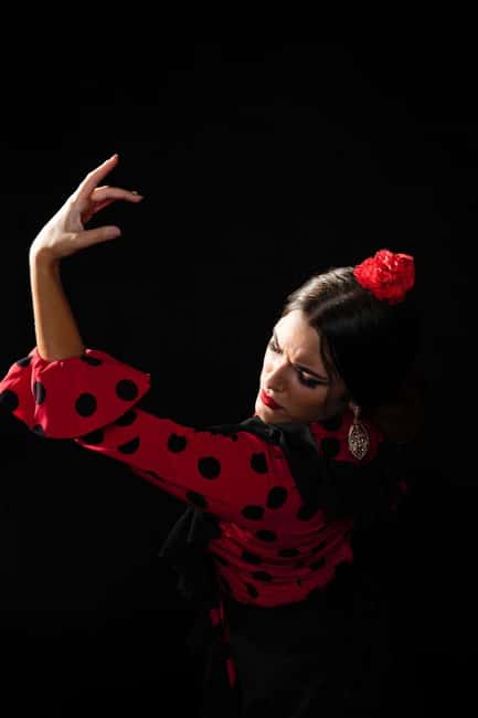 Malaga: Authentic Flamenco Dinner Show at Restaurant VinoMio - Price math: ticket cost plus the €15 minimum meal