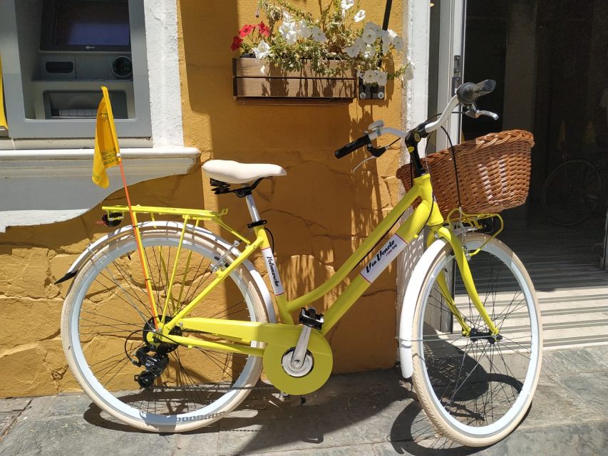 Malaga: Bike Rental for City Discovery Route & Beaches - Guadalhorce river estuary natural area: nature variety beyond the city sights