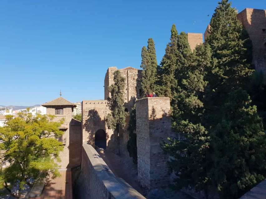 Málaga: Cathedral, Alcazaba, Roman Theater Walking Tour - Alcazaba and Gibralfaro: the elevator ride to Málaga’s best views