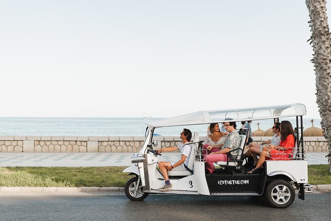 Malaga Express Tour with Local Guide in Eco Tuk Tuk Private - La Malagueta Beach and Gibralfaro: Your Big View Payoff