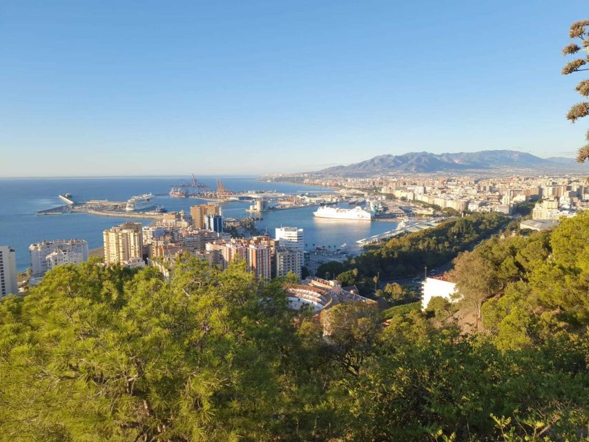 Malaga: Guided E-Bike Tour - Gibralfaro forest climb: where the view turns into the point