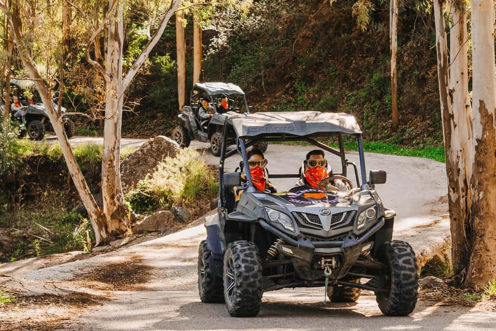 Málaga: Guided Off-Road Buggy Tour in Mijas (2 or 4 Seater) - Who This Tour Suits Best (and Who Should Skip It)