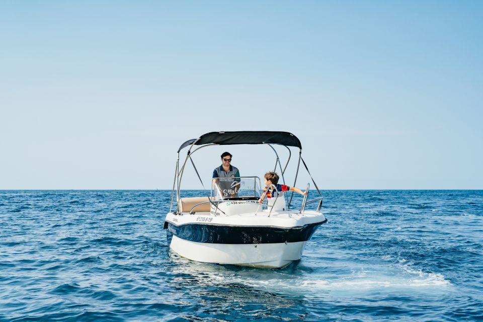 Malaga: License-free Boat Rental for Dolphin Watching - Key highlights worth planning for