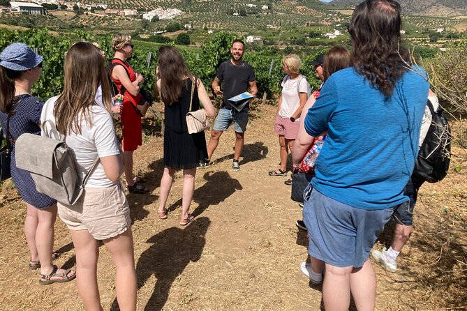Malaga Organic Vineyard and Winery Six Wines Tapas and Transfer - Key highlights at a glance