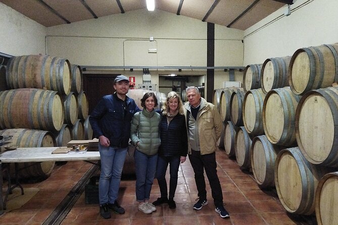 Malaga Organic Vineyard and Winery Six Wines Tapas and Transfer - Leaving Plaza de la Marina: the A/C van ride that sets the tone