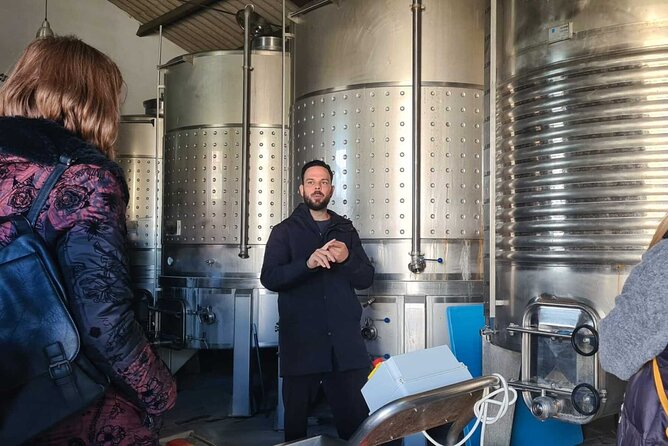 Malaga Organic Vineyard and Winery Six Wines Tapas and Transfer - Tapas pairings that help organic wine make sense