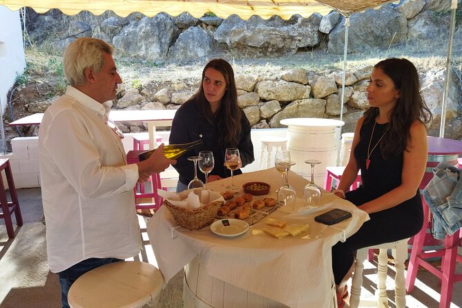 Malaga Organic Vineyard and Winery Six Wines Tapas and Transfer - How much wine and food you should expect