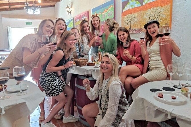 Malaga Organic Vineyard and Winery Six Wines Tapas and Transfer - Who this Malaga tour is best for