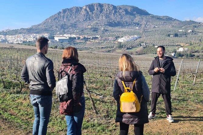 Malaga Organic Vineyard and Winery Six Wines Tapas and Transfer - Should you book this organic vineyard and winery tour?